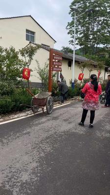 复古路牌