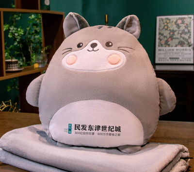 東津世紀城抱枕毯